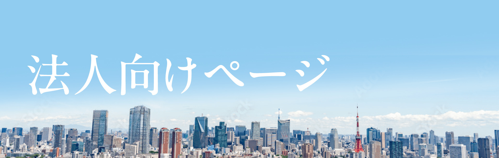 法人向けサイト
